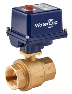 WaterCop Industrial Activator With 2 Inch Brass Water Valve